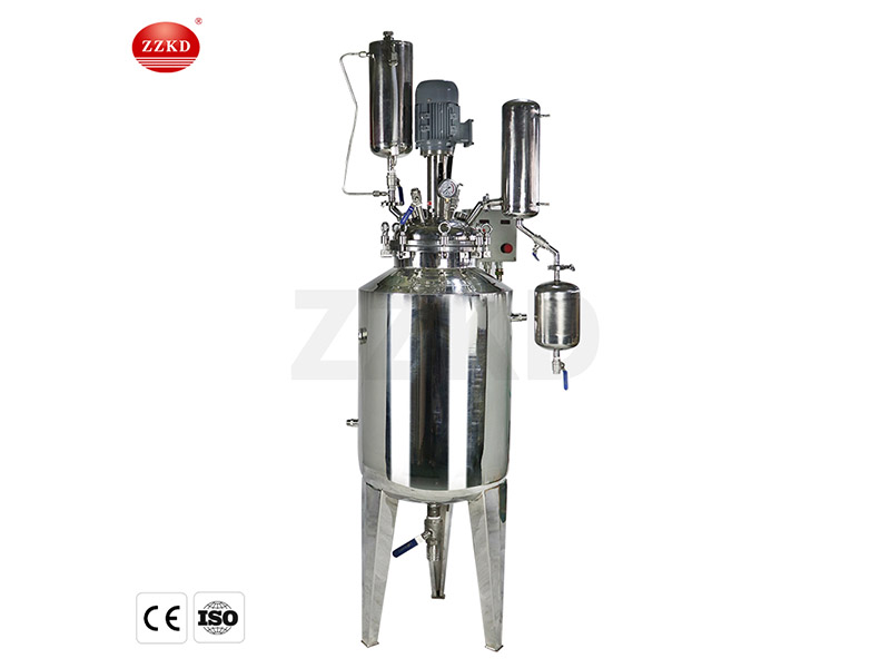 Stainless Steel Chemical Reactor