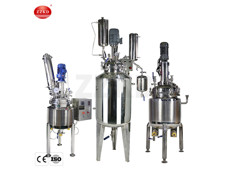 Stainless Steel Chemical Reactor-2