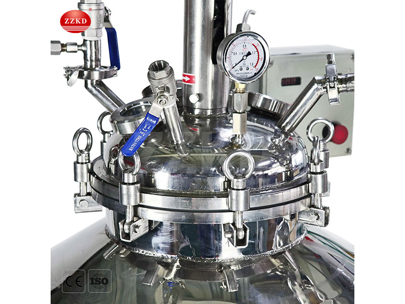 Stainless Steel Chemical Reactor-4