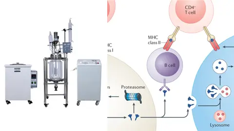 Why Borosilicate Glass 3.3 Reactors Dominate in Pharmaceutical Manufacturing?